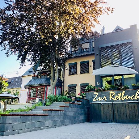 Apartament Zur Rotbuche Zeltingen-Rachtig Zewnętrze zdjęcie