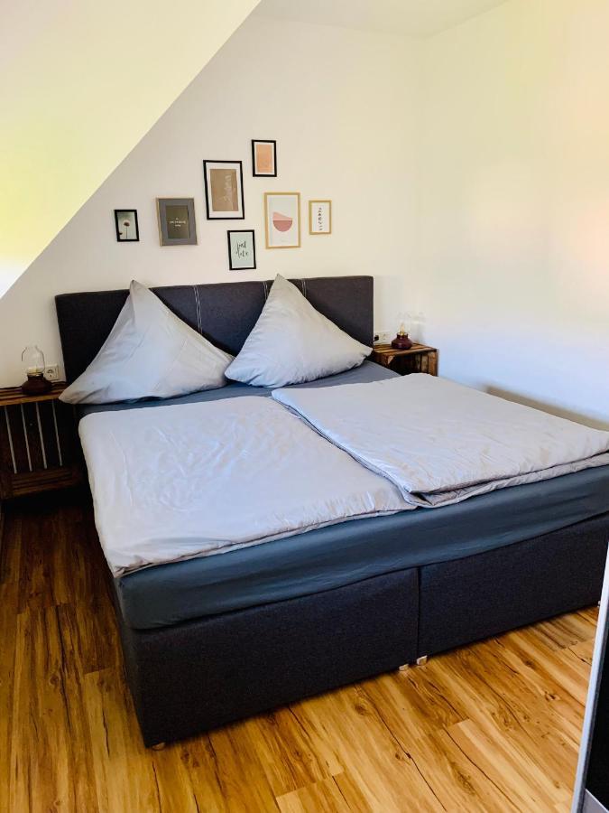 Apartament Zur Rotbuche Zeltingen-Rachtig Zewnętrze zdjęcie